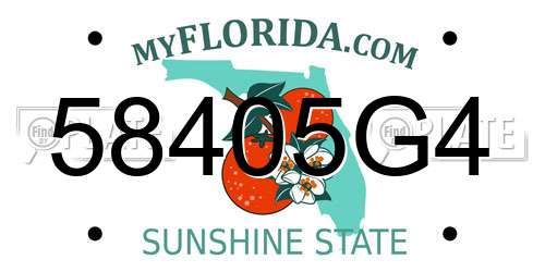 58405G4 Florida License Plate