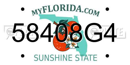 58408G4 Florida License Plate