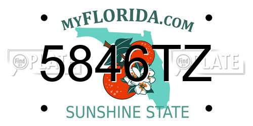 5846TZ Florida License Plate