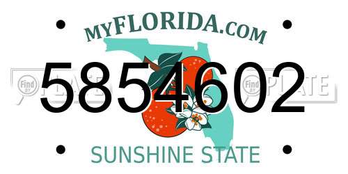 5854602 Florida License Plate