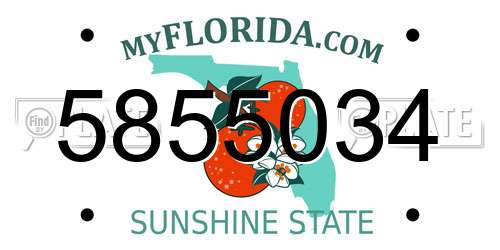 5855034 Florida License Plate