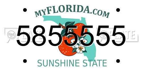 5855555 Florida License Plate