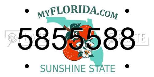 5855588 Florida License Plate