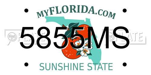 5855MS Florida License Plate