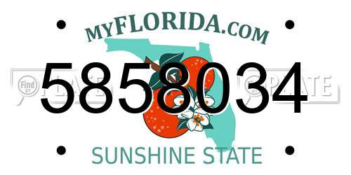 5858034 Florida License Plate
