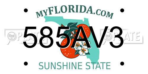 585AV3 Florida License Plate