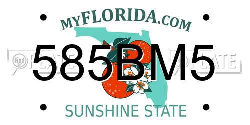 585BM5 Florida License Plate