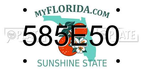 585E50 Florida License Plate