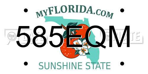 585EQM Florida License Plate