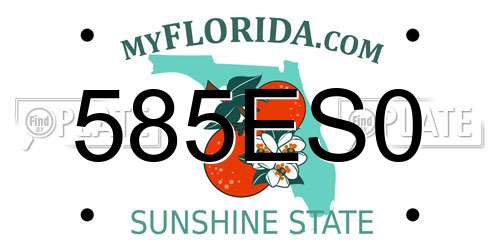 585ES0 Florida License Plate