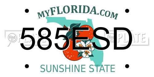 585ESD Florida License Plate