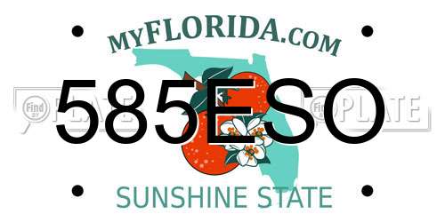 585ESO Florida License Plate