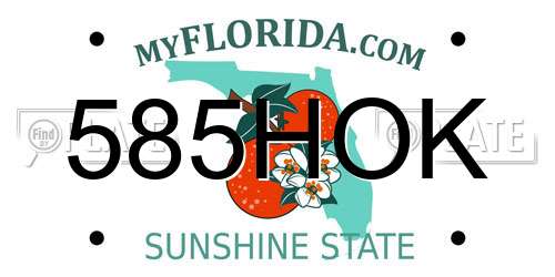 585HOK Florida License Plate