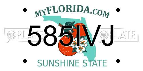 585IVJ Florida License Plate
