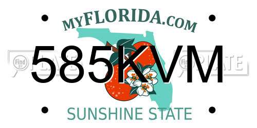 585KVM Florida License Plate