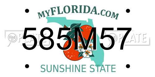 585M57 Florida License Plate