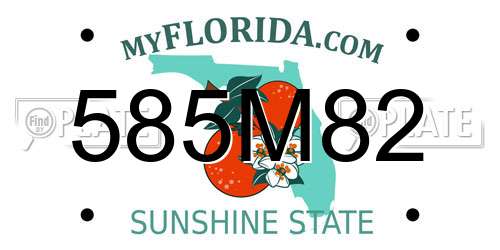 585M82 Florida License Plate