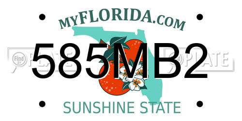 585MB2 Florida License Plate
