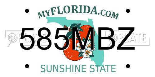 585MBZ Florida License Plate