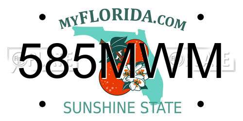 585MWM Florida License Plate