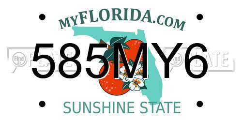 585MY6 Florida License Plate