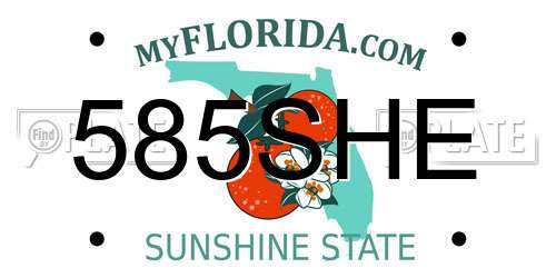 585SHE Florida License Plate