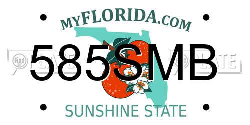 585SMB Florida License Plate