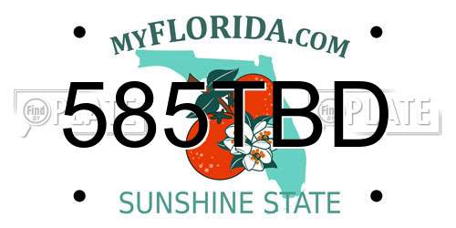 585TBD Florida License Plate