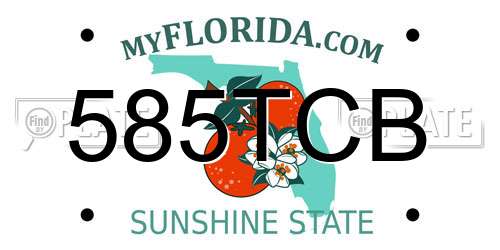 585TCB Florida License Plate
