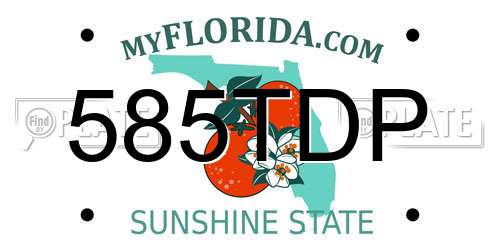 585TDP Florida License Plate