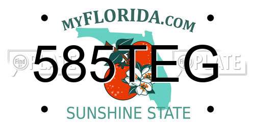 585TEG Florida License Plate