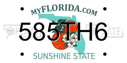 585TH6 Florida License Plate
