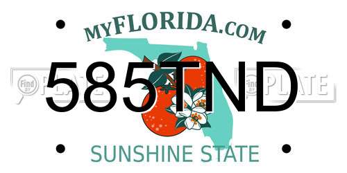 585TND Florida License Plate