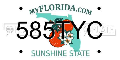 585TYC Florida License Plate