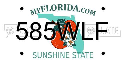 585WLF Florida License Plate
