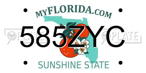 585ZYC Florida License Plate