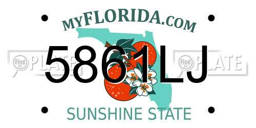 5861LJ Florida License Plate