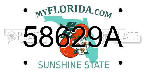58629A Florida License Plate