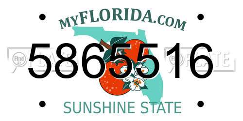 5865516 Florida License Plate