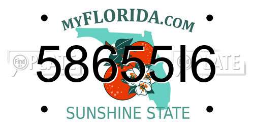 58655I6 Florida License Plate