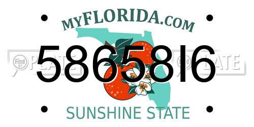 58658I6 Florida License Plate