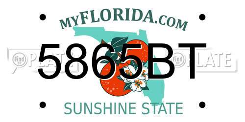 5865BT Florida License Plate