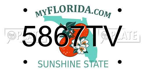 5867TV Florida License Plate