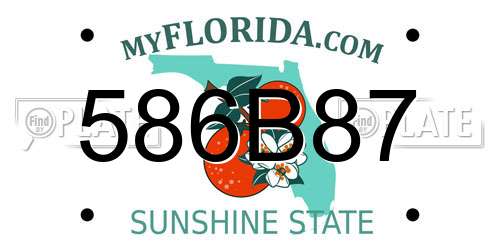 586B87 Florida License Plate