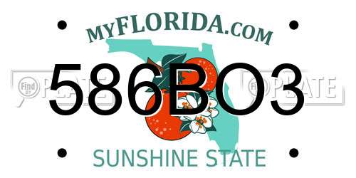 586BO3 Florida License Plate
