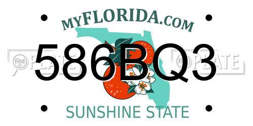 586BQ3 Florida License Plate