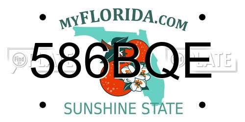 586BQE Florida License Plate
