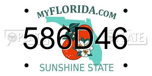 586D46 Florida License Plate