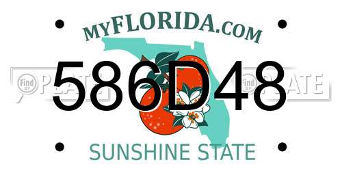 586D48 Florida License Plate