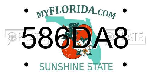 586DA8 Florida License Plate